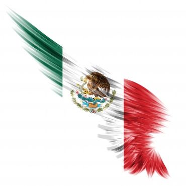 Omnicomm moves into Mexico